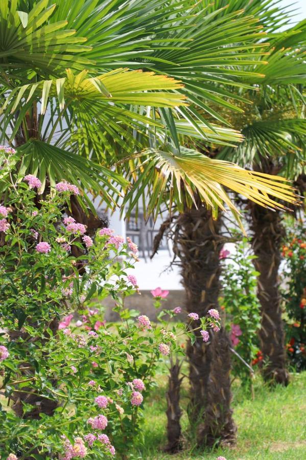 Hotel Velipoja Village Екстериор снимка